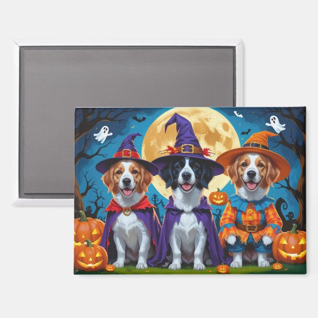 Nova Scotia Duck Toller Pumpkin Halloween Funny Magnet (Vorderseite/Rückseite)