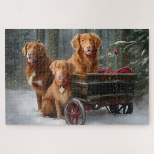 Nova Scotia Duck Toller Retriever Schnee Schlitten