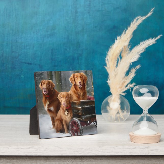Nova Scotia Duck Toller Retriever Snowy Sleigh Fotoplatte (InSitu)