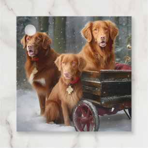 Nova Scotia Duck Toller Retriever Snowy Sleigh Geschenkanhänger