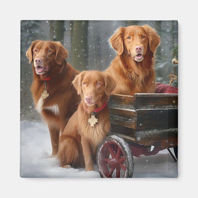 Nova Scotia Duck Toller Retriever Snowy Sleigh Magnet (Vorne)