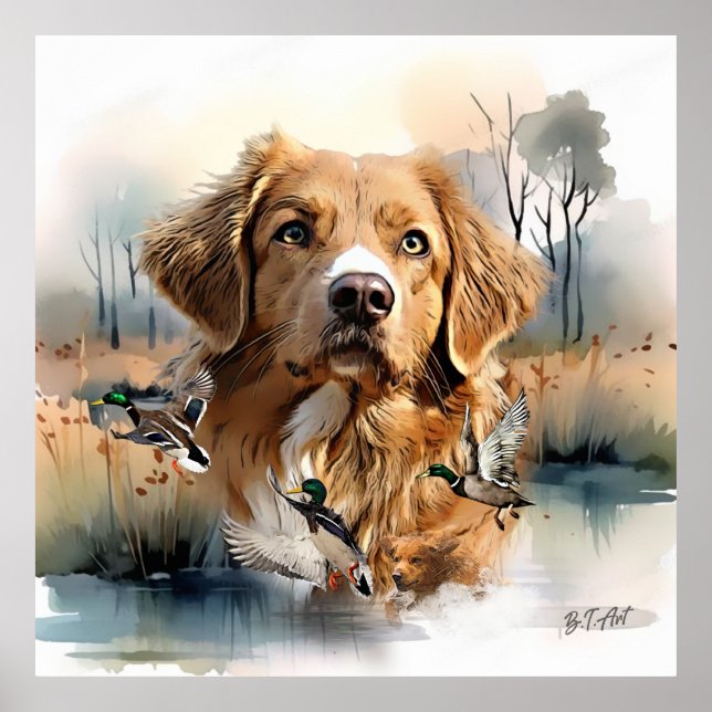 Nova Scotia Duck Tolling Retriever, Art Poster (Vorne)
