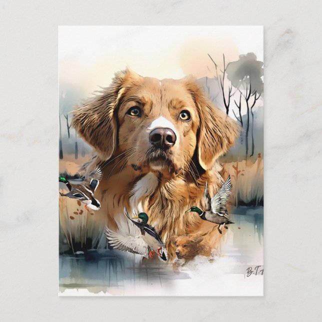 Nova Scotia Duck Tolling Retriever, Art Postkarte (Vorderseite)