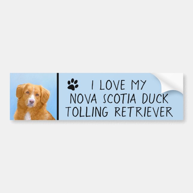 Nova Scotia Duck Tolling Retriever Dog Painting Autoaufkleber (Vorne)