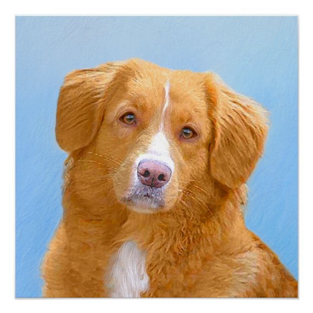 Nova Scotia Duck Tolling Retriever Dog Painting Poster (Vorderseite)