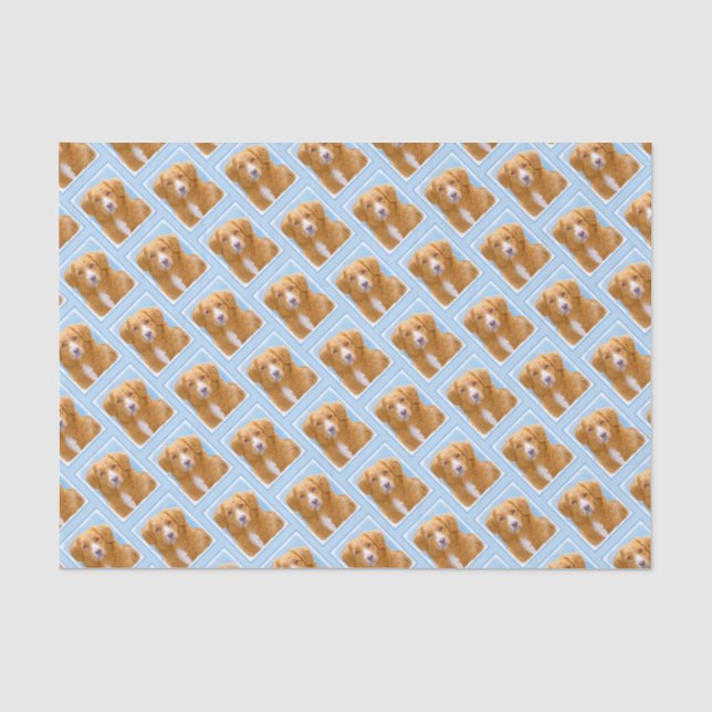 Nova Scotia Duck Tolling Retriever Dog Painting Seidenpapier (Vorderseite)