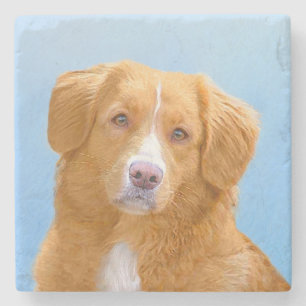 Nova Scotia Duck Tolling Retriever Dog Painting Steinuntersetzer