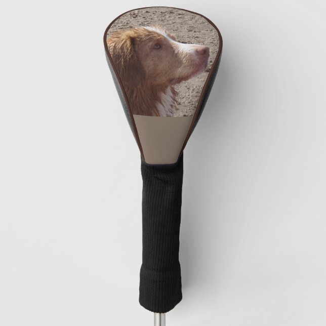 Nova_Scotia_Duck_Tolling_Retriever Golf Headcover (Vorderseite)