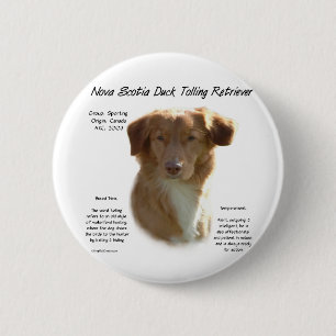 Nova Scotia Duck Tolling Retriever History Design Button