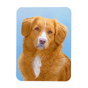 Nova Scotia Duck Tolling Retriever Hund Gemälde Magnet