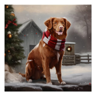 Nova Scotia Duck Tolling Retriever Hund im Schnee  Poster