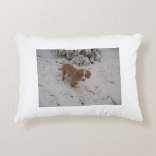 Nova_Scotia_Duck-Tolling_Retriever im Schnee Dekokissen