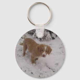 Nova_Scotia_Duck-Tolling_Retriever im Schnee Schlüsselanhänger
