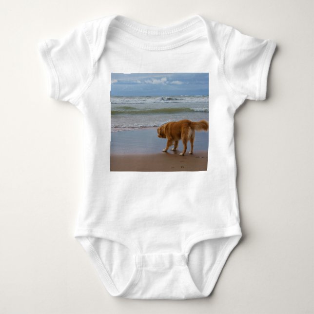 Nova Scotia Duck Tolling Retriever Ocean vorsichti Baby Strampler (Vorderseite)