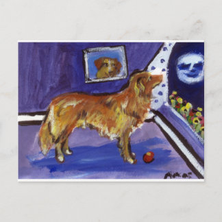 Nova Scotia Duck Tolling Retriever Postkarte