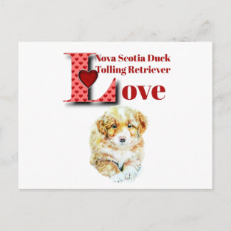 Nova Scotia Duck Tolling Retriever Postkarte