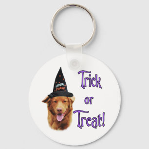 Nova Scotia Duck Tolling Retriever Trick Schlüsselanhänger