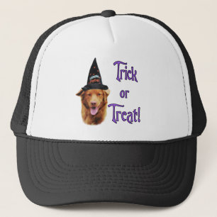 Nova Scotia Duck Tolling Retriever Trick Truckerkappe