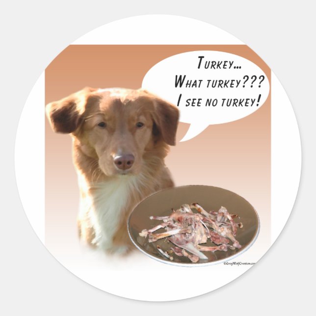 Nova Scotia Duck Tolling Retriever Türkei Runder Aufkleber (Vorderseite)