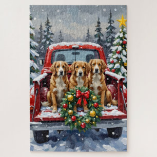 Nova Scotia Duck Tolling Retriever Weihnachten Rot