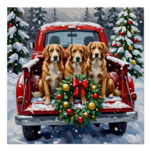Nova Scotia Duck Tolling Retriever Weihnachten Rot Poster