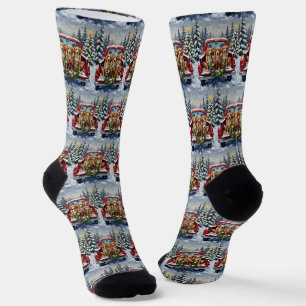Nova Scotia Duck Tolling Retriever Weihnachten Rot Socken