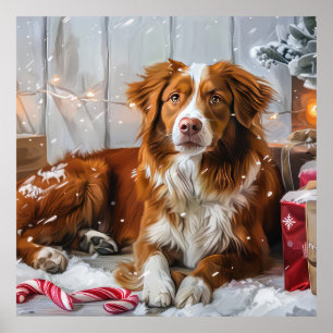 Nova Scotia Duck Tolling Retriever Weihnachtsfestl Poster