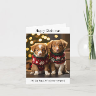 Nova Scotia Ducktolling Retriever Weihnachtskarte Karte