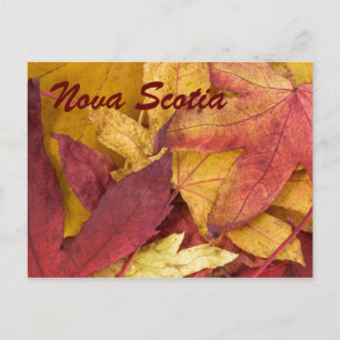 Nova Scotia Herbstverlässe Postkarte