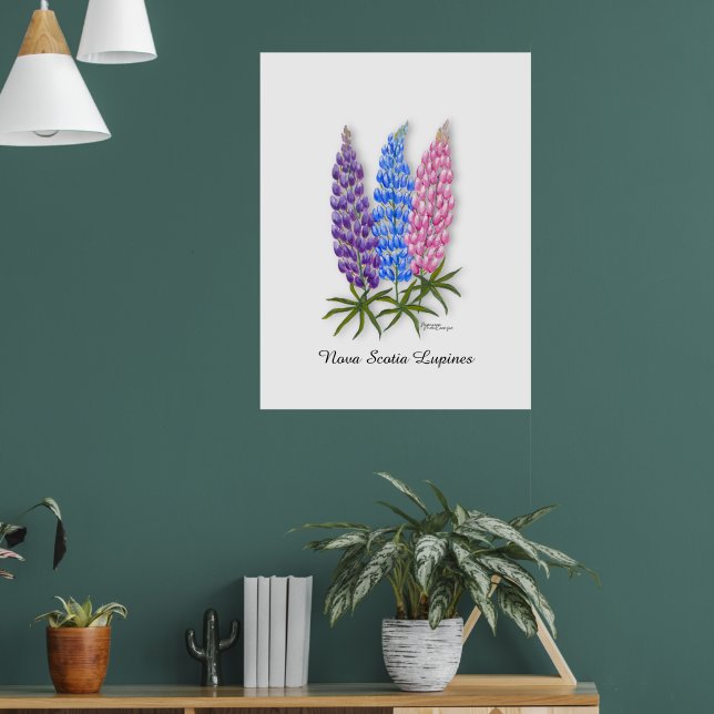 Nova Scotia Lupinen Poster (Wohnzimmer 1)