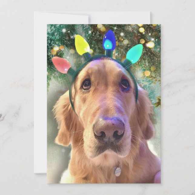 Nova the Golden Retriever Dog Einladung zu Weihnac (Vorderseite)