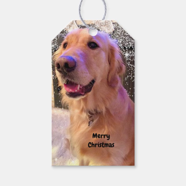 Nova The Golden Retriever Dog Weihnachtsgeschenk-T Geschenkanhänger (Vorderseite)