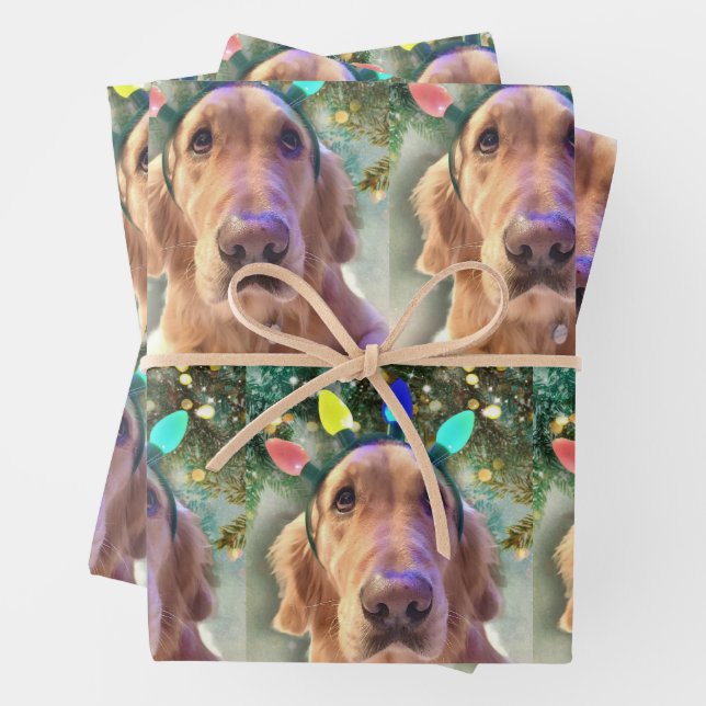 Nova the Golden Retriever - Feuilles de papier à e (En situation)