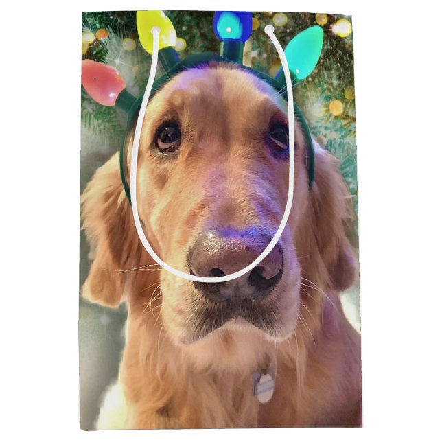 Nova the Golden Retriever - Sac cadeau de Noël (Devant)