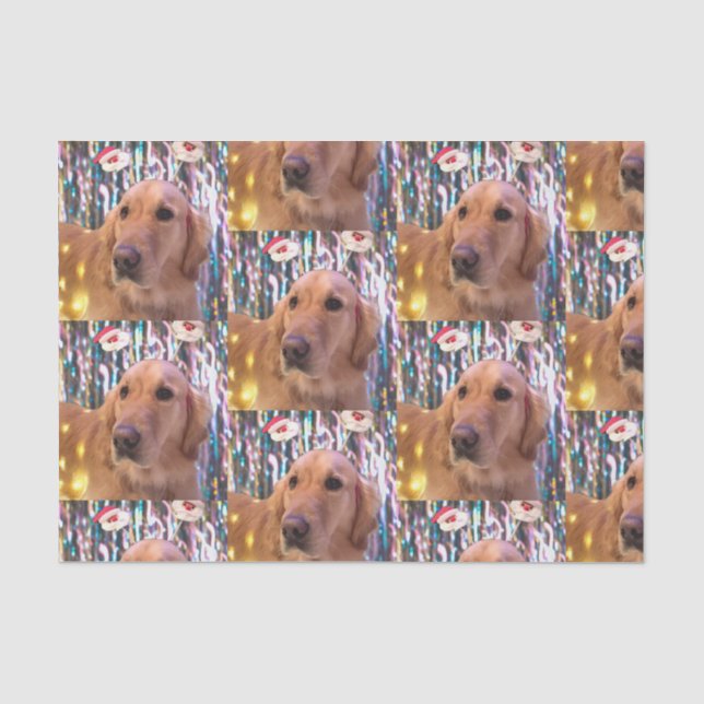 Nova the Golden Retriever Weihnachten Seidenpapier (Vorderseite)
