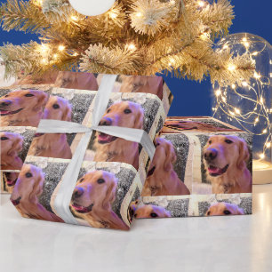 Nova the Golden Retriever - Wrapping Paper Roll Geschenkpapier