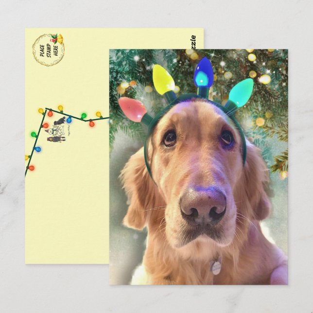 Nova The Golden Retriever's Christmas Postkarte (Vorne/Hinten)
