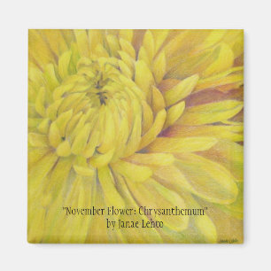 November-Blume: Chrysantheme Magnet