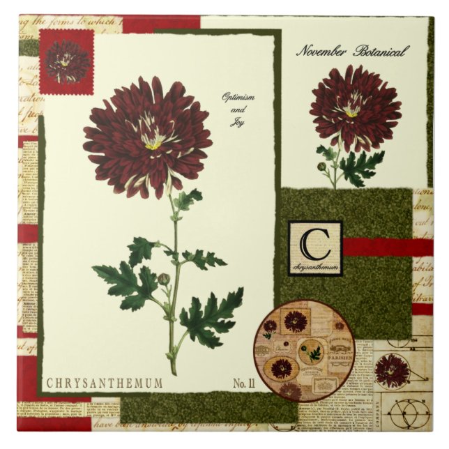 November-Blume Fliese (Vorderseite)