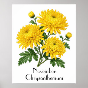 November-Chrysanthemenblüten Poster