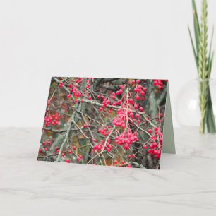 November Crabapples Greeting Card Karte