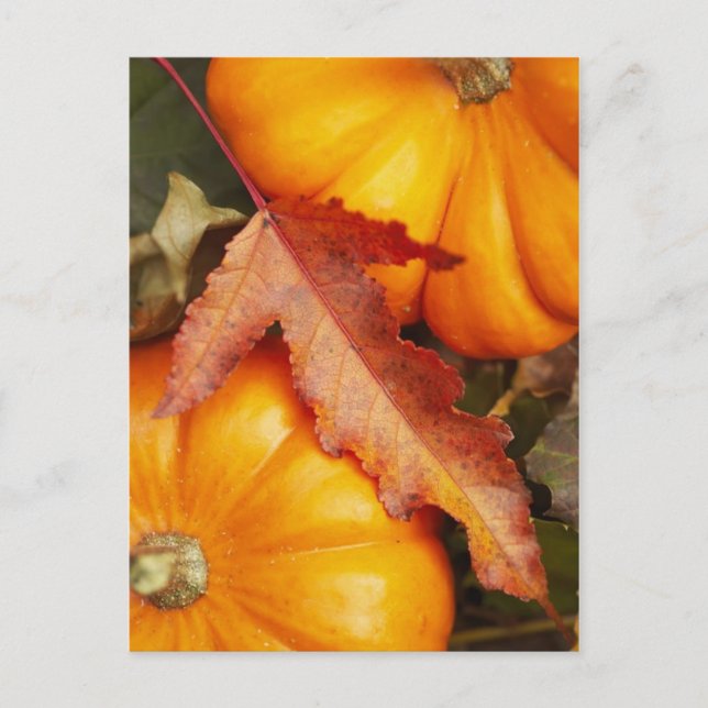 November Design Postkarte (Vorderseite)