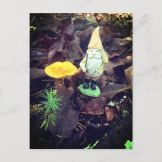 November Gnome Postkarte