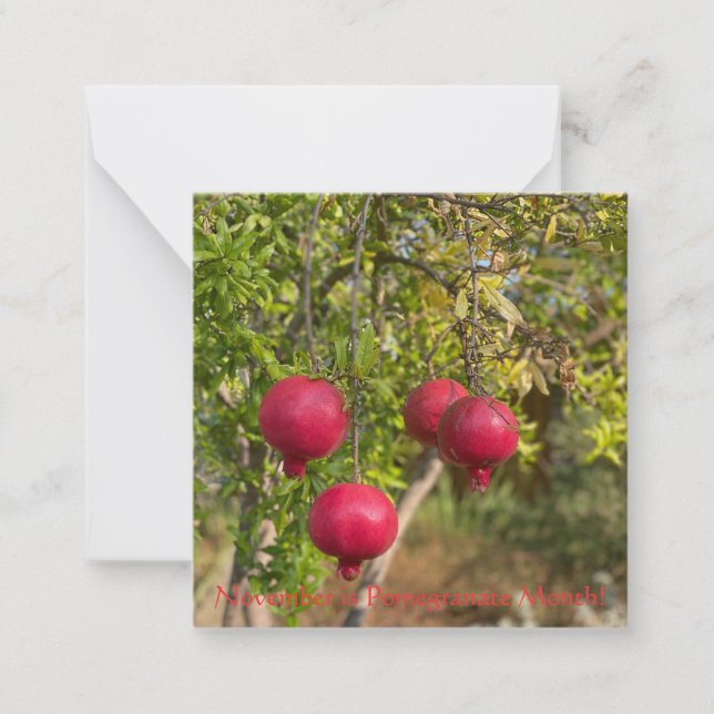 November ist Granatapfel Monat! Mitteilungskarte (Vorderseite)