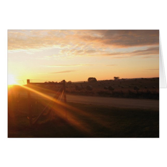 November Morning (Vorderseite (Horizontal))