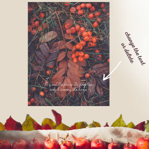 November-Muster Poster