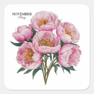 November Peony Bloom - Personalisiertes Geburtstag Quadratischer Aufkleber