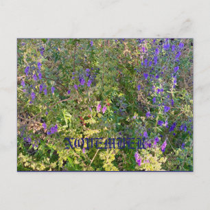 NOVEMBER POSTKARTE