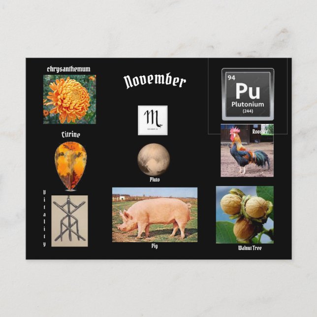 November Skorpio Geburtsmonat Postkarte (Vorderseite)