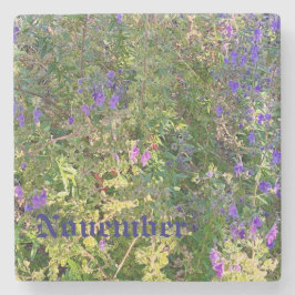 NOVEMBER STEINUNTERSETZER